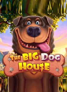 The Big Dog House
