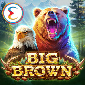 Big Brown Bear